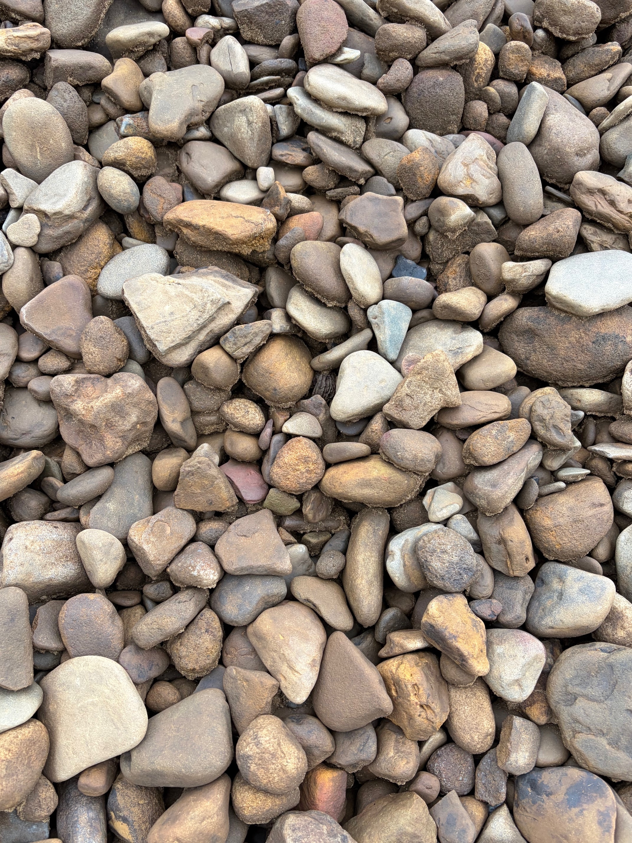 Bulk Landscape Materials 3